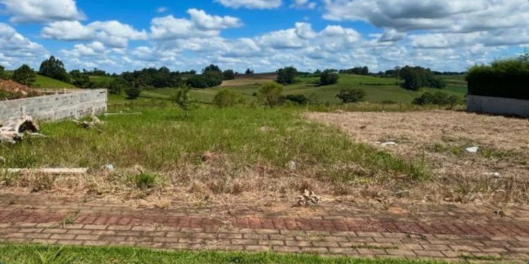 Terreno com 450,00m² na Vila Flora - Guarulhos/SP