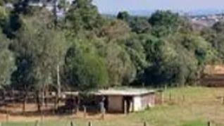 Fazenda Santa Amália com 20,77.47ha Machado/MG