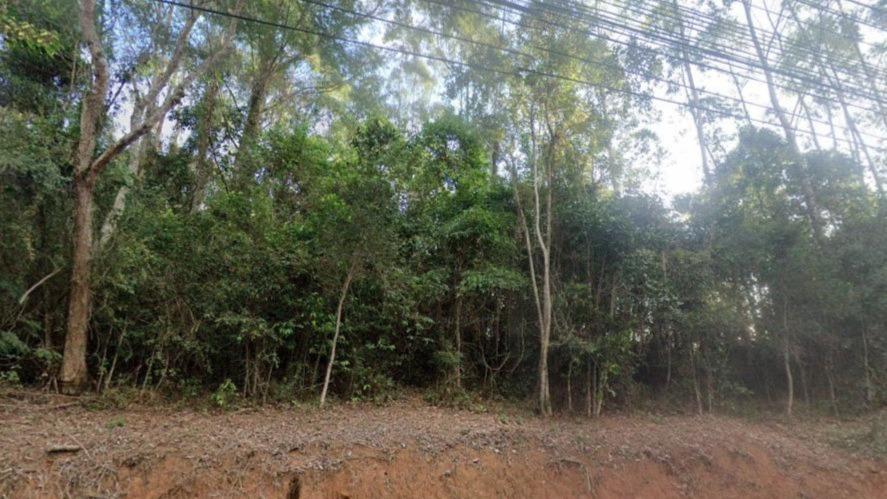 Imóvel com 681.986m2 na Posse dos Heckerts - Nova Friburgo/RJ