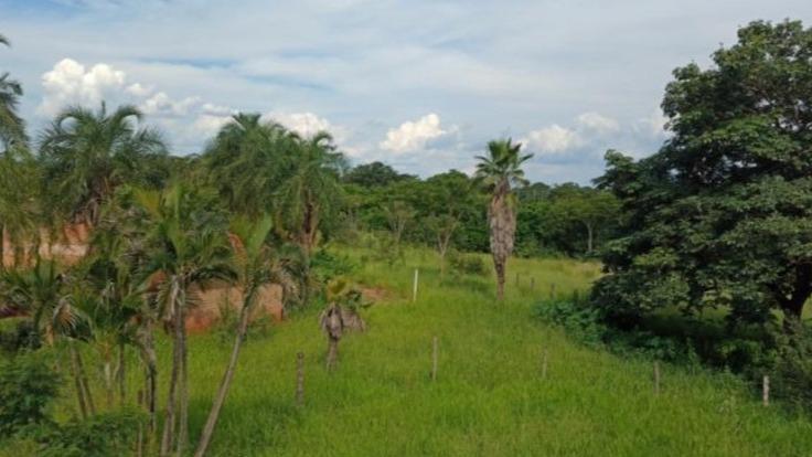 Gleba de terras com 12.000 m² em São José do Rio Preto/SP