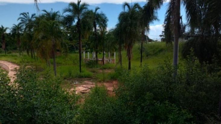 Gleba de terras com 12.000 m² em São José do Rio Preto/SP